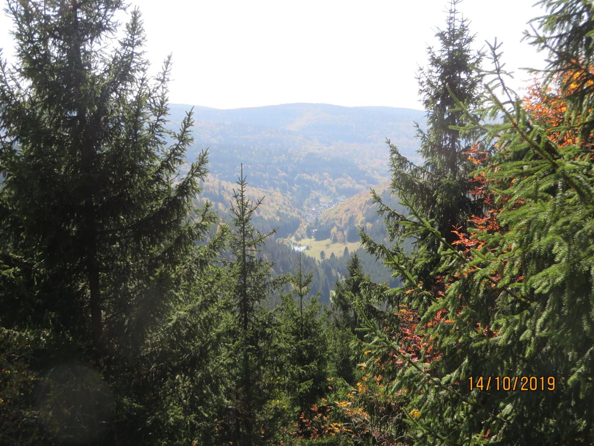 Bergblick *