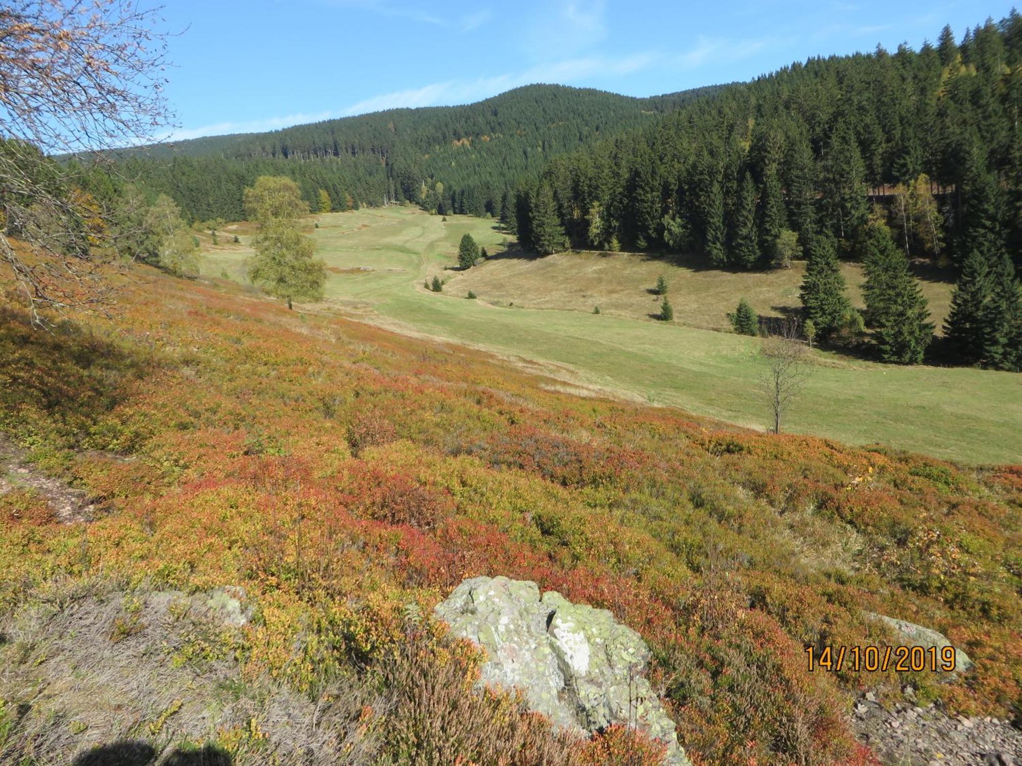 Bergblick Goldlauter-Heidersbach